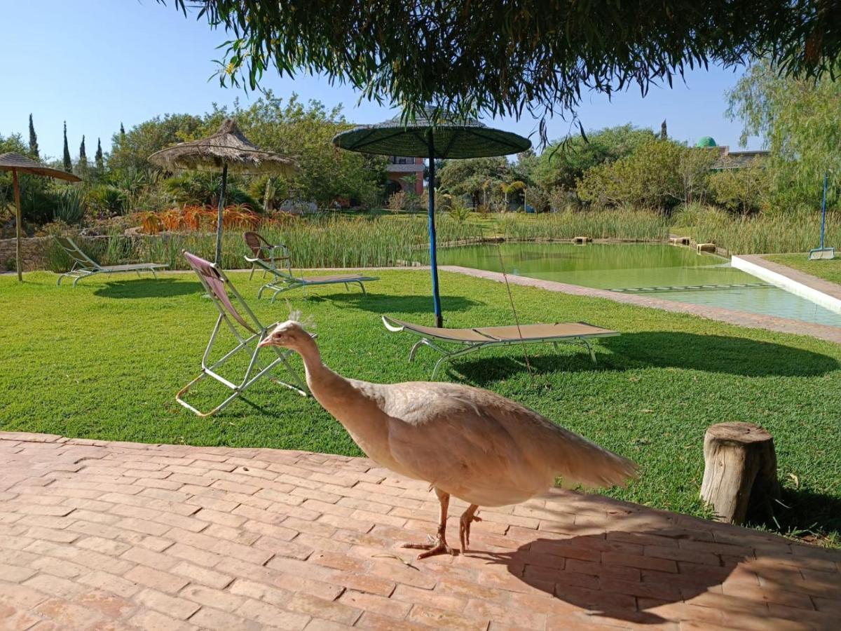 Douar Noujoum Bed & Breakfast Essaouira Bagian luar foto