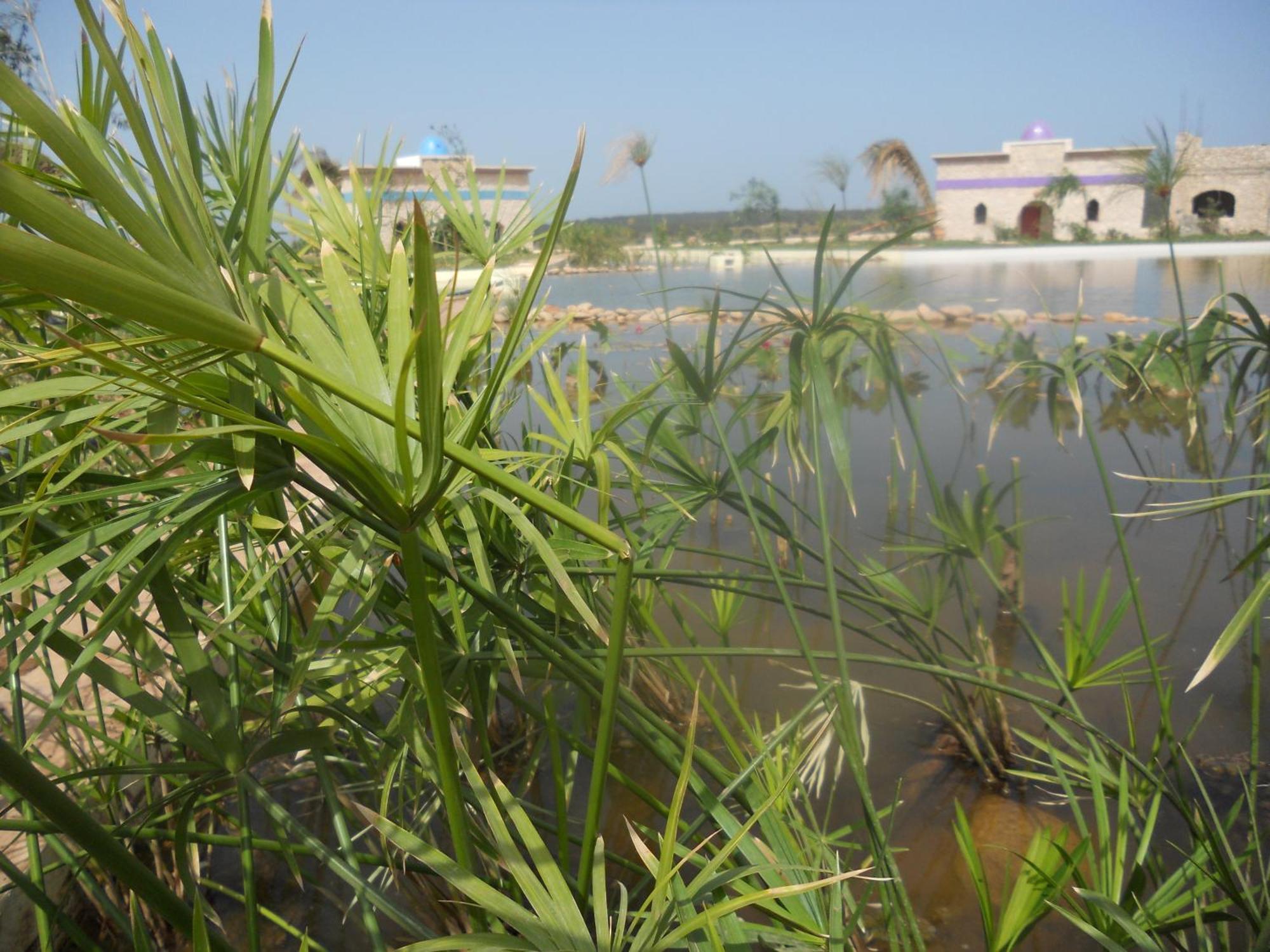 Douar Noujoum Bed & Breakfast Essaouira Bagian luar foto