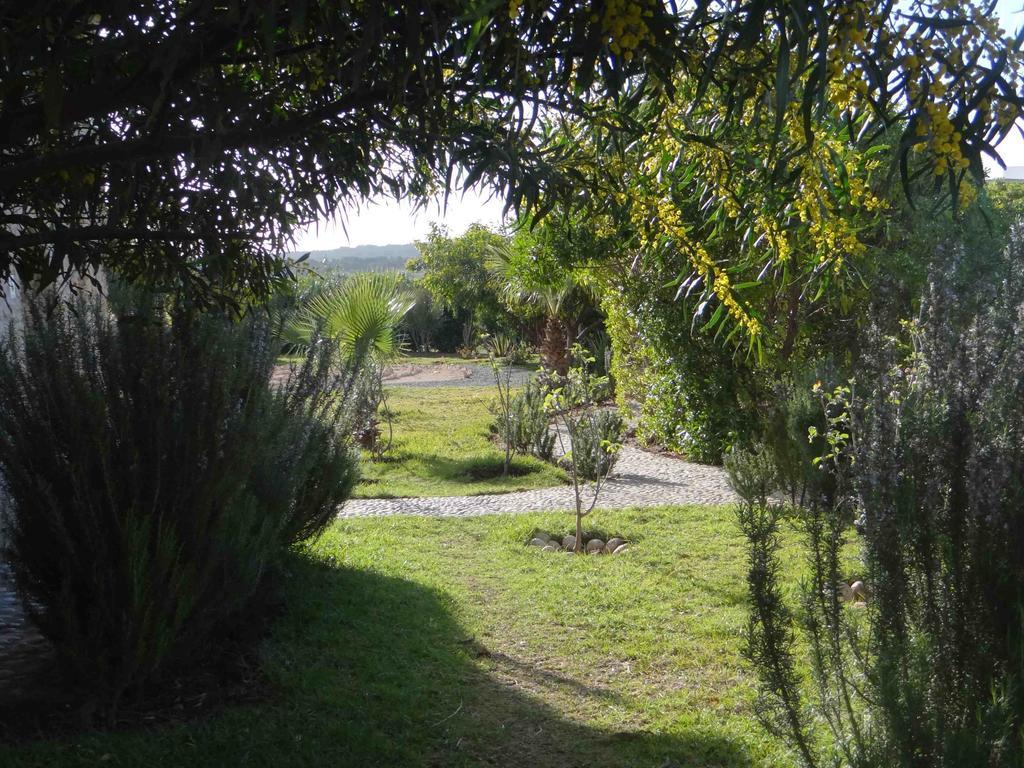 Douar Noujoum Bed & Breakfast Essaouira Bagian luar foto