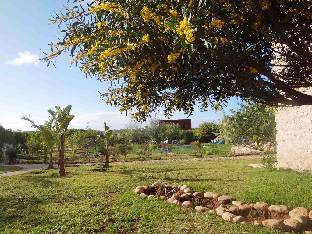 Douar Noujoum Bed & Breakfast Essaouira Bagian luar foto