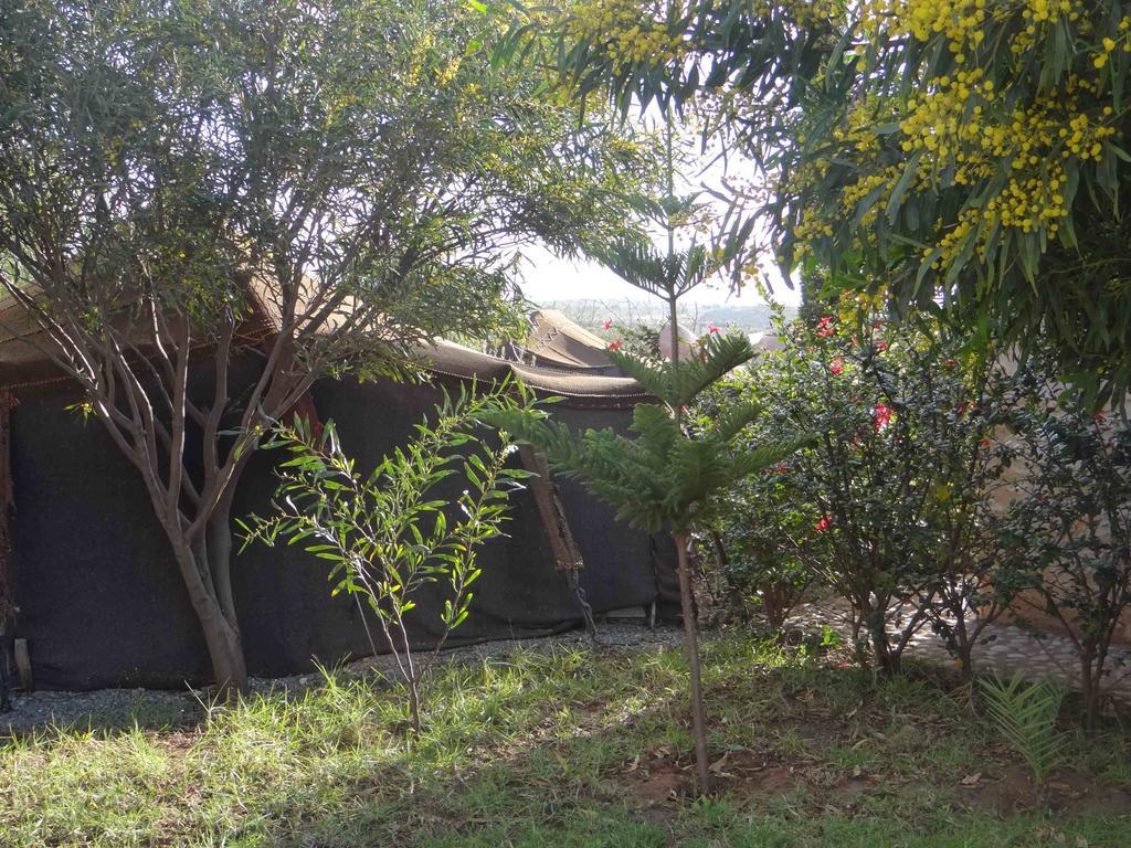 Douar Noujoum Bed & Breakfast Essaouira Bagian luar foto